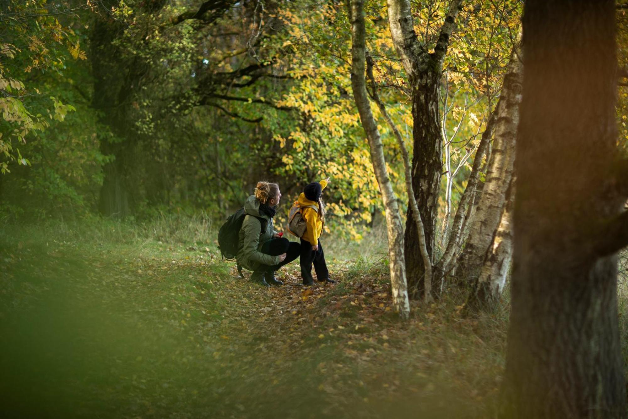 Im-Jaich Naturoase Gustow エクステリア 写真